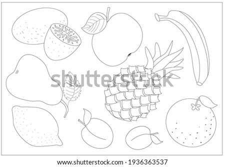 A set of different fruits for coloring (banana, pineapple, orange, lemon, apple, pear, plum and kiwi). Vector illustration.