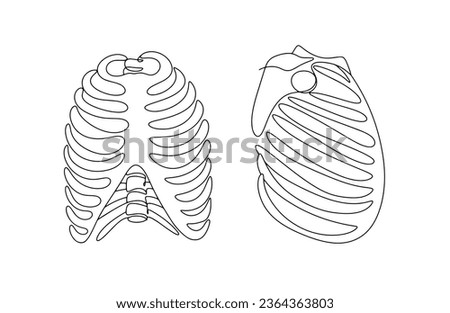 Human ribs straight and side view. Anatomical structure of the chest. Bone and Joint Action Week. One line drawing for different uses. Vector illustration.