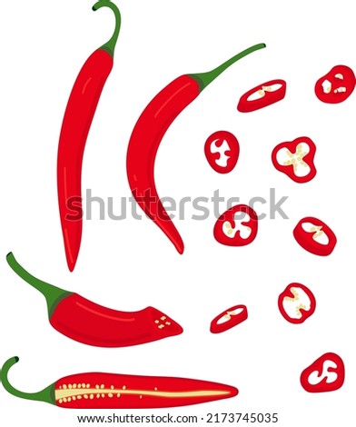 Hot pepper vector illustration. Chilli. Cayenne pepper. Piece of pepper, pieces with seeds, circles, chopped pepper with seeds.