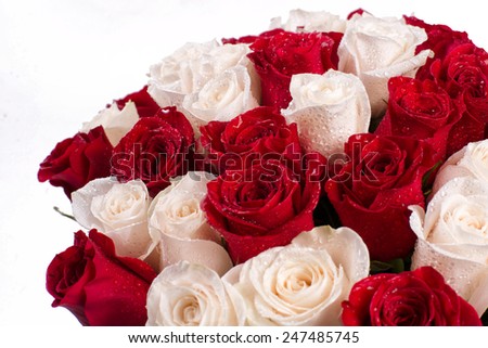 bouquet of red and white roses on a white background