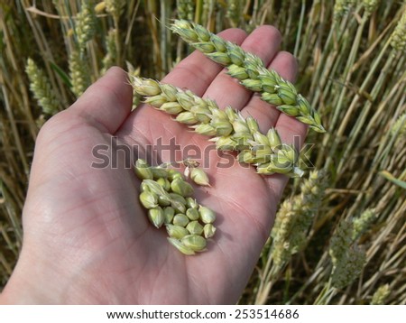 Grain state control
