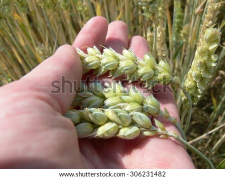 Grain state control