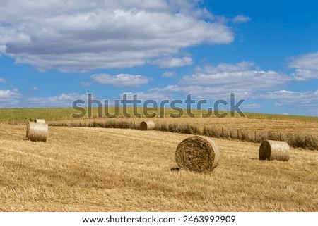 Similar – Image, Stock Photo Straw bale rolled up on a field waiting for removal