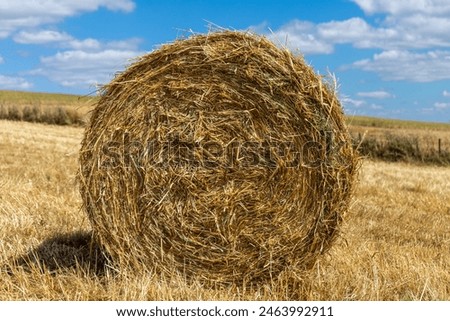 Similar – Image, Stock Photo Straw bale rolled up on a field waiting for removal