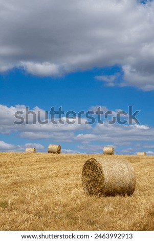 Similar – Image, Stock Photo Straw bale rolled up on a field waiting for removal