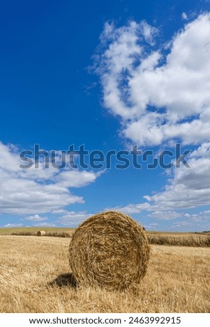 Similar – Image, Stock Photo Straw bale rolled up on a field waiting for removal