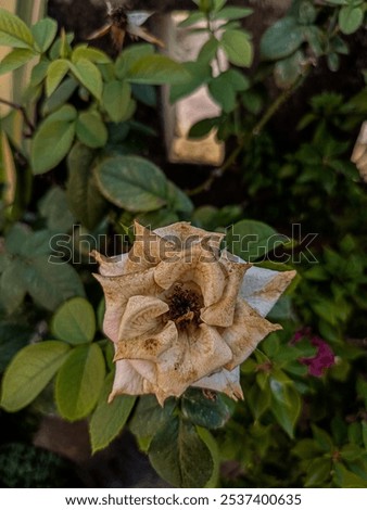 Similar – Image, Stock Photo The next one will come for sure