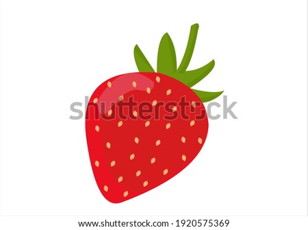 Stawberry red summer fruit, white background. Vector graphic illustration. Vegetarian cafe print, poster, card. Natural, organic dessert sweet, fresh berry