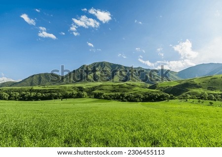 Rural landscape Field