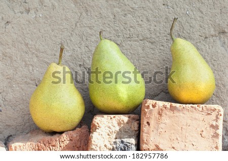 Three pears against an old wall