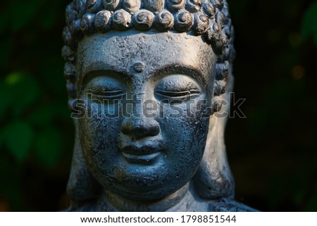 Similar – Image, Stock Photo Buddha sculpture on green nature and buddhist prayer flags