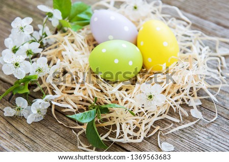 Similar – Image, Stock Photo Easter eggs and apple tree flowers