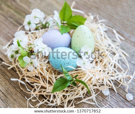 Similar – Image, Stock Photo Easter eggs and apple tree flowers