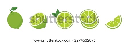 Vector lime slice green illustration lemon isolated half fruit lime. Fresh green cut citrus icon. Vector 10 eps.