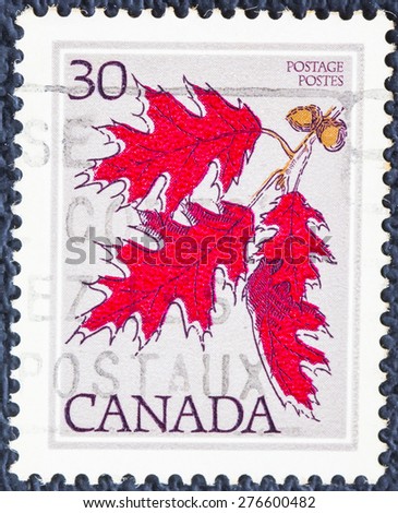 CANADA - CIRCA 1978: A vintage stamp printed in Canada shows  Red Oak (Quercus rubra),  from the series \