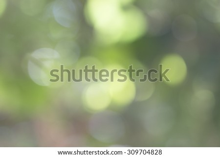 Beautiful  burred  abstract  bokeh and  nature  sun light effect,  green nature light background, Daylight, shiny day