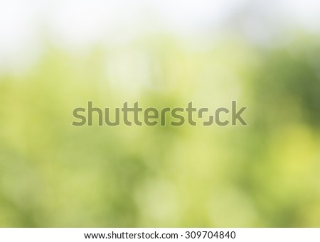 Beautiful  burred  abstract  bokeh and  nature  sun light effect,  green nature light background, Daylight, shiny day
