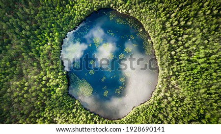 An almost perfect circular lake shot straight down from the air resembles the earth surrounded by a pine forest 商業照片 © 