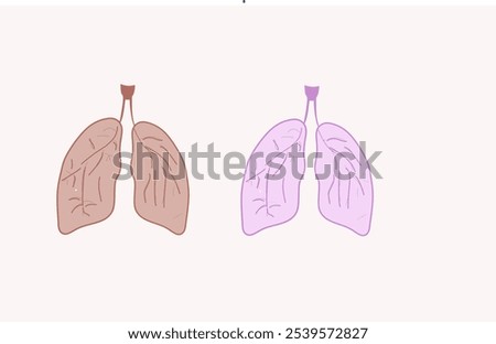 two Simple Cutout Illustrations of human lungs. The left lung is above the surface with a shadow, the right lung is hidden in the background with a floating pulmonary bronchus. Vector illustration