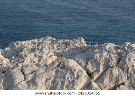 Similar – Image, Stock Photo Marseille / Mediterranean Sea with sailing boats