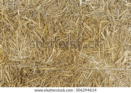 closeup dry grass, chaff for farmer background