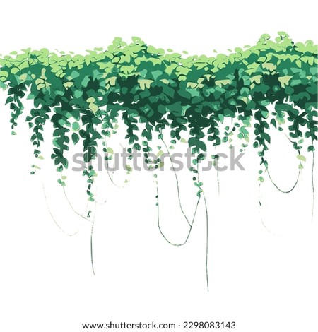 Green vine, creeper or ivy hanging from above or climbing the wall. Ivy isolated on white background. Vector Illustration.