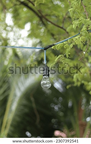 Similar – Image, Stock Photo Wild connected light bulb with cable net in a socket in front of a palm tree