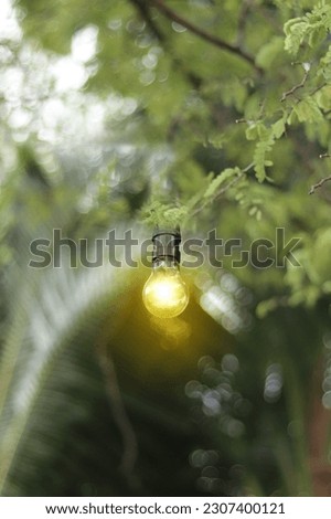 Similar – Image, Stock Photo Wild connected light bulb with cable net in a socket in front of a palm tree