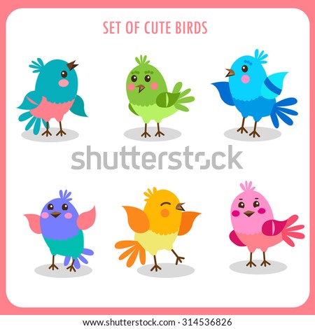 Set of cute birds in vector. Colorful birds vector collection.