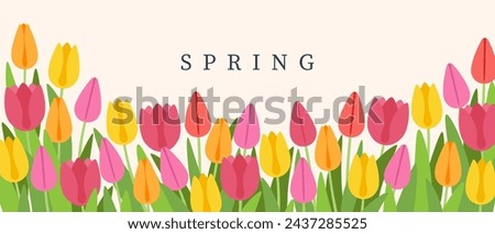 Spring vector illustration, multi-colored tulips on a white background. Design for wallpaper, posters, banners, cards, print, web and packaging.