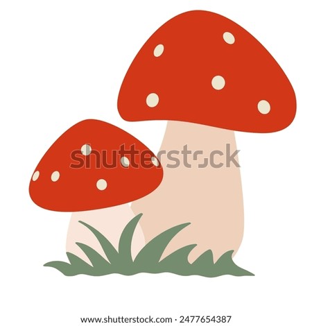 Isolated on a white background two fly agaric mushrooms with green grass. Flat vector illustration.