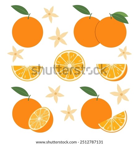 Orange with green leaves in flat style. Citrus slice isolated on white background. Tropical fruits. Raw and vegetarian food. Vector illustration.