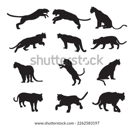 Set puma silhouette vector illustration.