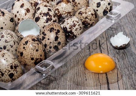 Quail eggs in an egg cup and one on the bottom