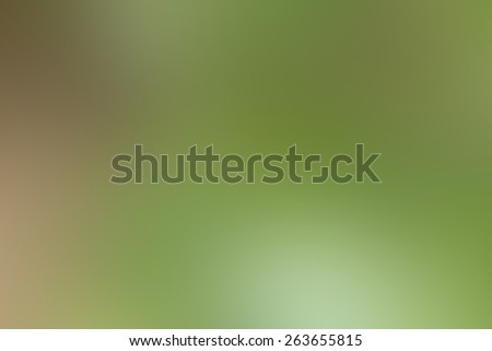 soft gently blurred background  make from popular colors in trend,