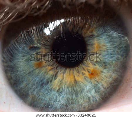 Pupil of human eye