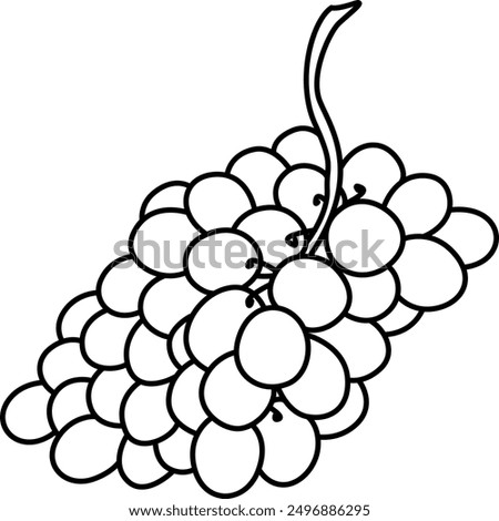 Grapes, linear drawing. Icon. Ripe grapes linear icon. Sketch for coloring bunches of grapes, berries