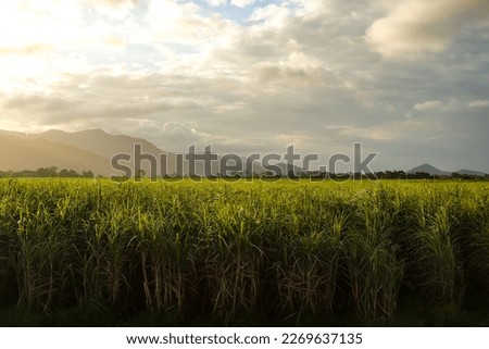 Image, Stock Photo Railway to the sugar loaf