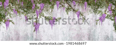 curly flowers wisteria on branches, photo wallpapers