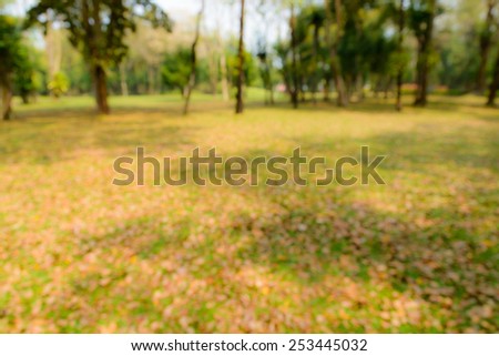 Blur trees and dry leaves on lawn in the park
