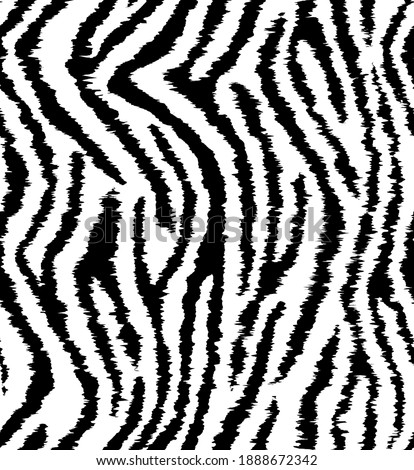 zebra animal black abstrack zebra pattern white 