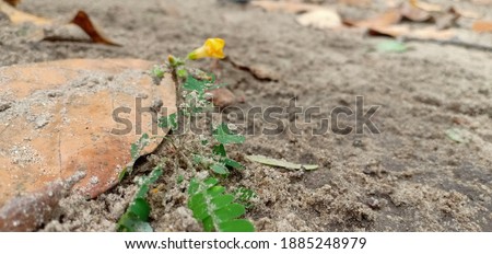 Shutterstock Puzzlepix Shutterstock Puzzlepix