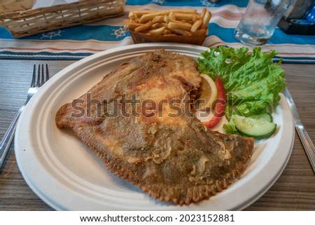 Similar – Image, Stock Photo Fish at the Baltic Sea