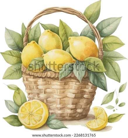 Lemons in the basket Watercolor  . Lemon Tea Party with tea set, pitcher, tea pot, tea cup and cold drink design elements for isolated on white background.