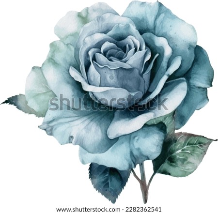 Blue Pastel Rose Flower Watercolor Illustration