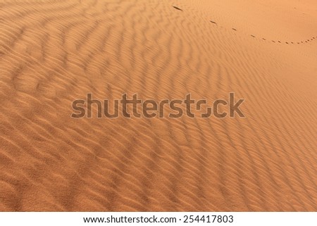 Sand / desert background with footprints