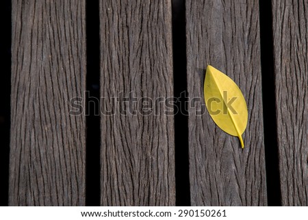 Yellow leaf on the wooden path way. This photo focused on a single fallen leaf against wooden path way, Thailand. June 2015.
