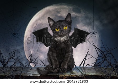 Black cat with bat wings. Full moon and rustic boards table. Thorny branches, cobwebs, and spiders, cloudy sky. Gothic dark abstraction for invitations or advertisements, posters, for All Saints Day Photo stock © 