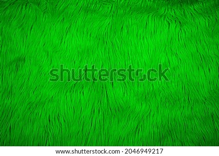 Similar – Image, Stock Photo Closeup of green fluffy moss on stone