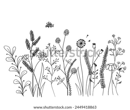 Hand drawn doodle drawing of field herbs and flowers